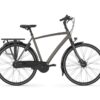 Gazelle Chamonix C8 Stone Brown Mat Heren 2023