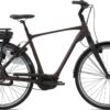 Giant Grand Tour E+ 0 Rosewood Heren 2022 500 W