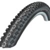 Schwalbe bub 29x2.10 rapid rob kg Zwart