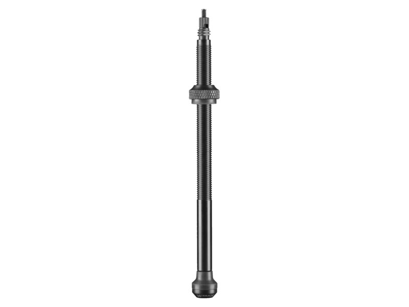 Schwalbe tubeless ventiel 100mm 2 stuks Zwart
