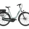 Gazelle Paris C7 400w Light Olive Mat Dames 2024
